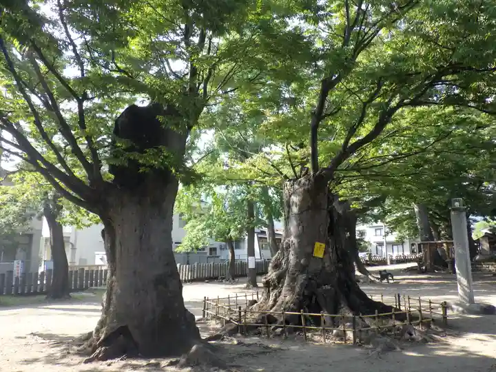 美和神社の自然