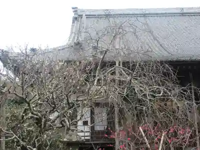 宝戒寺(神奈川県)