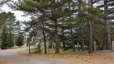 池田神社の自然
