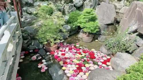 岡寺（龍蓋寺）の庭園