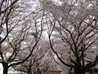 東蕗田天満社の自然