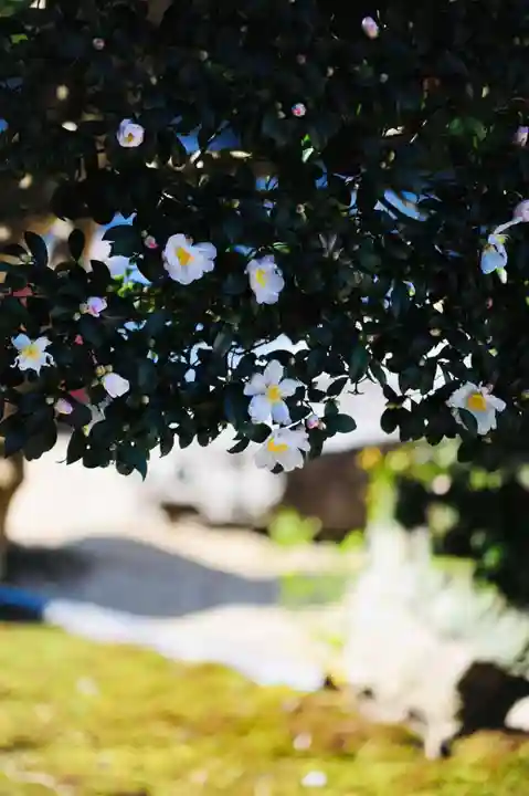 浄土寺(兵庫県)