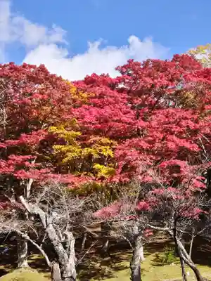 土津神社｜こどもと出世の神さま(福島県)