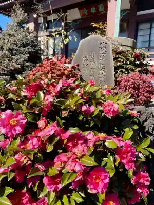 円頓寺の{uncategorized: "未分類", other: "その他", undefined: "問題あり", building: "その他建物", grave: "お墓", sacred_gate: "鳥居", guardian: "狛犬", statue: "像", buddha: "仏像", history: "歴史", nature: "自然", garden: "庭園", animal: "動物", pagoda: "塔", temizu: "手水舎", mountain_gate: "山門・神門", sanctuary: "本殿・本堂", subordinate: "末社・摂社", art: "芸術", scenery: "景色", jizo: "地蔵", ema: "絵馬", goshuin: "御朱印", omikuji: "おみくじ", items: "授与品その他", amulet: "お守り", goshuincho: "御朱印帳", eats: "食事", festival: "お祭り", votive_dance: "神楽", shichigosan: "七五三参", wedding: "結婚式", experience: "体験その他", initially: "初詣", around: "周辺", anti_infection: "感染症対策"}