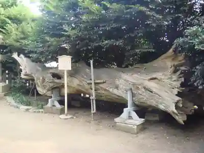 瀬戸神社の自然