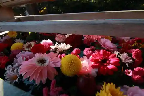 豊景神社の手水