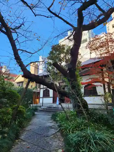 金竜寺(東京都)