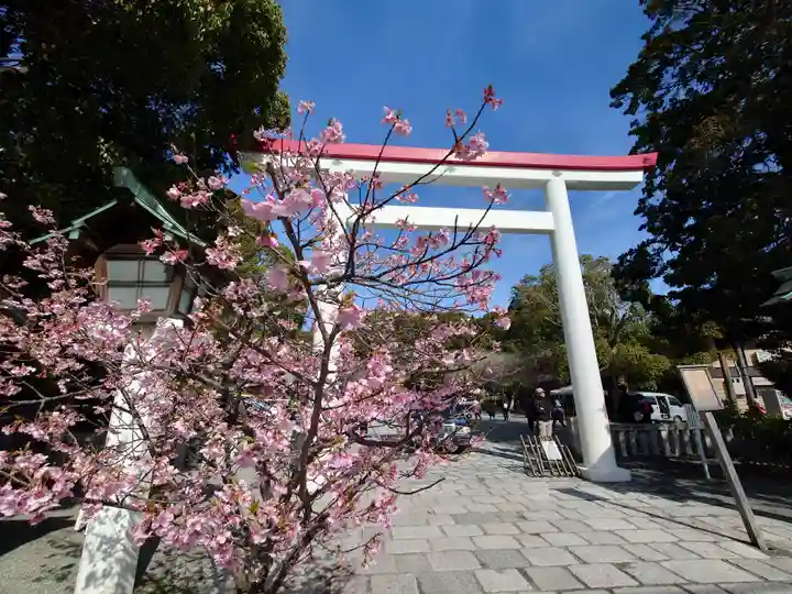 鎌倉宮(神奈川県)