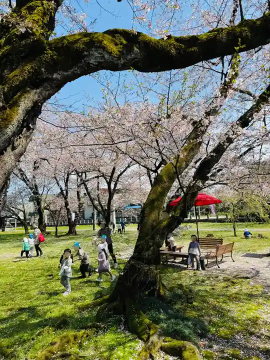 守りの神 藤基神社(新潟県)