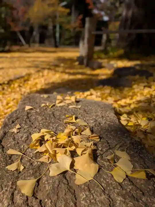 赤坂氷川神社(東京都)