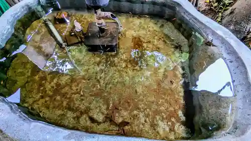 子安神社の動物