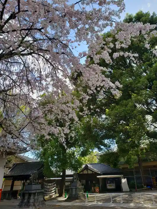 荻窪白山神社(東京都)