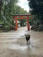 春日大社(奈良県)