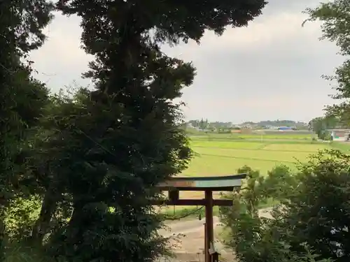 春日神社の景色