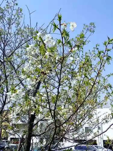 品川神社(東京都)