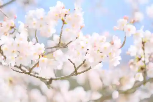 金剛宝寺（紀三井寺）の自然