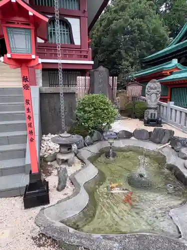 放生寺(東京都)