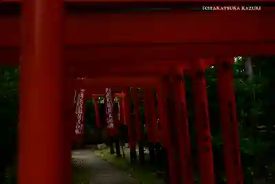 東伏見稲荷神社の鳥居