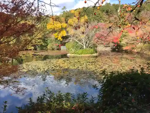 龍安寺の庭園