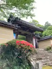 八葉寺の山門