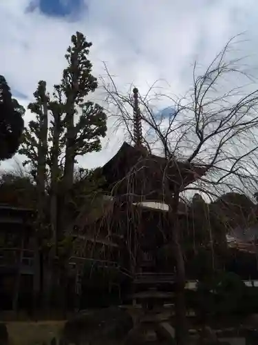 楽法寺（雨引観音）の建物その他