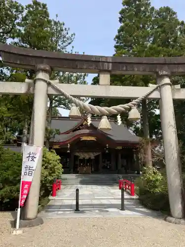 越中一宮 髙瀬神社の{uncategorized: "未分類", other: "その他", undefined: "問題あり", building: "その他建物", grave: "お墓", sacred_gate: "鳥居", guardian: "狛犬", statue: "像", buddha: "仏像", history: "歴史", nature: "自然", garden: "庭園", animal: "動物", pagoda: "塔", temizu: "手水舎", mountain_gate: "山門・神門", sanctuary: "本殿・本堂", subordinate: "末社・摂社", art: "芸術", scenery: "景色", jizo: "地蔵", ema: "絵馬", goshuin: "御朱印", omikuji: "おみくじ", items: "授与品その他", amulet: "お守り", goshuincho: "御朱印帳", eats: "食事", festival: "お祭り", votive_dance: "神楽", shichigosan: "七五三参", wedding: "結婚式", experience: "体験その他", initially: "初詣", around: "周辺", anti_infection: "感染症対策"}