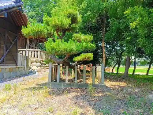 神明社（北麻績）の自然