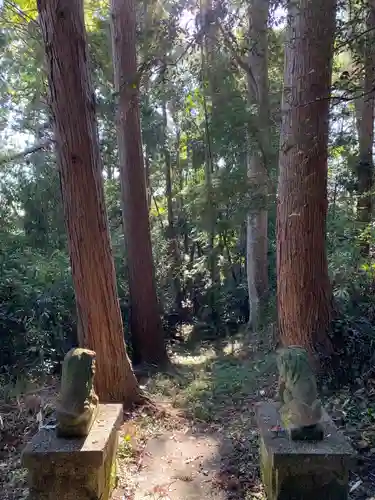 八坂神社の狛犬
