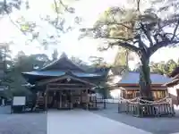 井伊谷宮の本殿・本堂