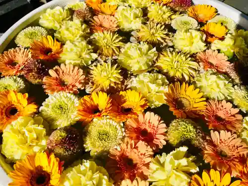 法輪寺(東京都)