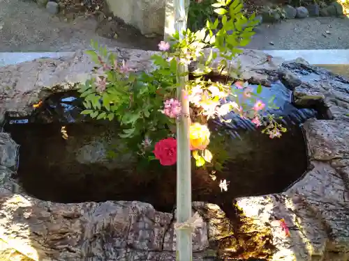 阿智神社の手水