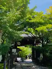 禅林寺（永観堂）の山門