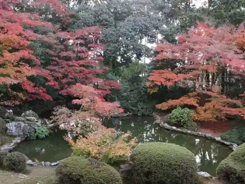 隨心院（随心院）の庭園