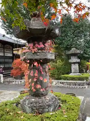 長泉院(埼玉県)