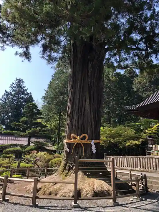 北口本宮冨士浅間神社(山梨県)