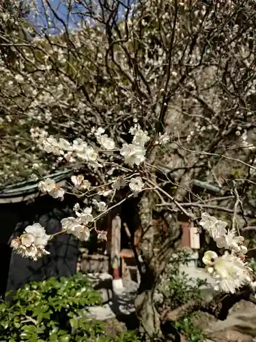銭洗弁財天宇賀福神社の{uncategorized: "未分類", other: "その他", undefined: "問題あり", building: "その他建物", grave: "お墓", sacred_gate: "鳥居", guardian: "狛犬", statue: "像", buddha: "仏像", history: "歴史", nature: "自然", garden: "庭園", animal: "動物", pagoda: "塔", temizu: "手水舎", mountain_gate: "山門・神門", sanctuary: "本殿・本堂", subordinate: "末社・摂社", art: "芸術", scenery: "景色", jizo: "地蔵", ema: "絵馬", goshuin: "御朱印", omikuji: "おみくじ", items: "授与品その他", amulet: "お守り", goshuincho: "御朱印帳", eats: "食事", festival: "お祭り", votive_dance: "神楽", shichigosan: "七五三参", wedding: "結婚式", experience: "体験その他", initially: "初詣", around: "周辺", anti_infection: "感染症対策"}