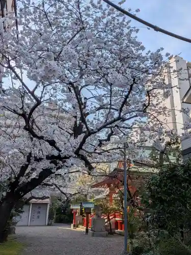 秋葉神社(東京都)