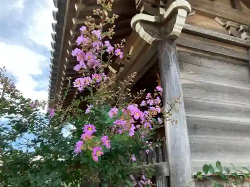 高西寺(東京都)