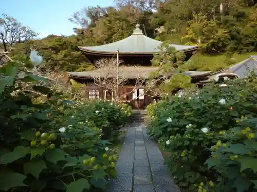 瑞泉寺の本殿・本堂