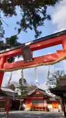 吉田神社の鳥居