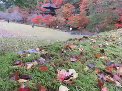 金剛院(京都府)