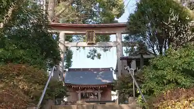 大松氷川神社の鳥居