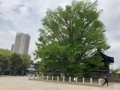 葛飾八幡宮(千葉県)