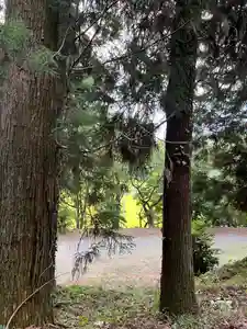 大宮温泉神社(栃木県)(2023年08月30日(水) 17時12分13秒投稿)