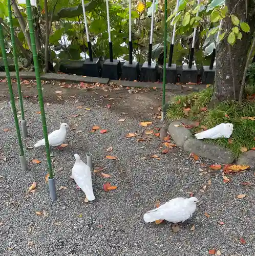 旗上弁財天社の動物