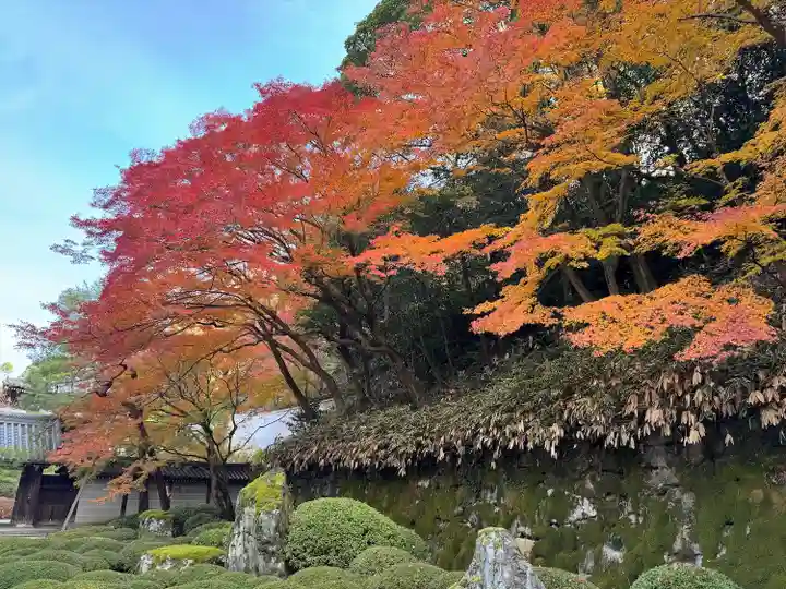 知恩院(京都府)
