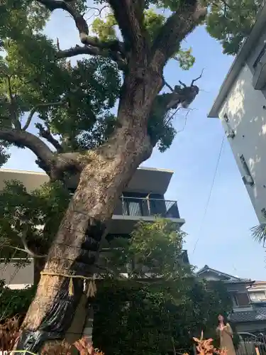 楠玉龍神のその他建物