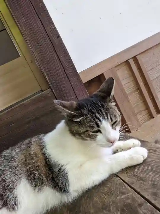 玉野御嶽神社の動物