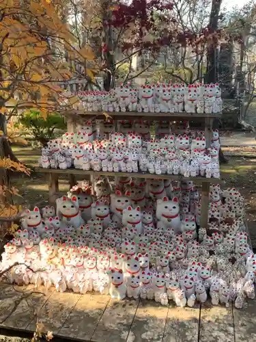 豪徳寺の狛犬