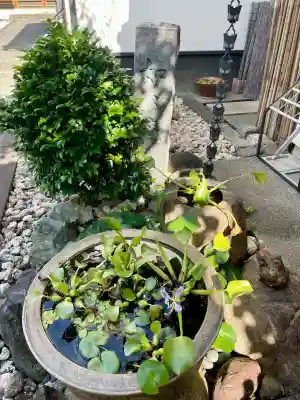 香林院(東京都)